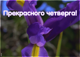 Открытка прекрасного четверга