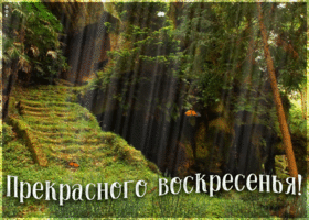 Открытка прекрасного воскресного дня