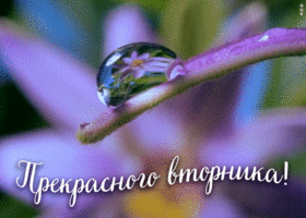 Открытка прекрасного вторника