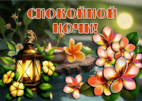 Picture прелестная гиф-открытка, вот и наступила ночь, время отдыхать