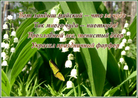 Открытка прелестная открытка с цветами