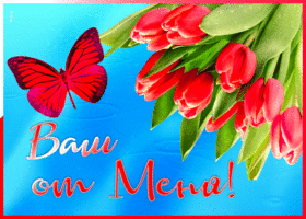 Картинка прелестная открытка с тюльпанами