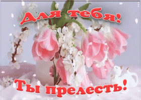 Картинка прелестные тюльпаны для тебя