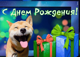 Картинка прикольная анимация с днем рождения