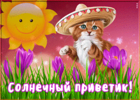 Открытка прикольная картинка привет