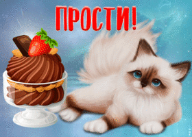 Картинка прикольная открытка прости