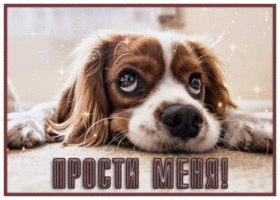 Postcard прикольная открытка прости с собачкой