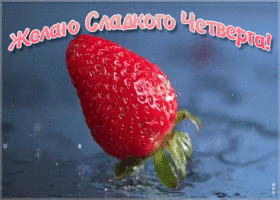 Картинка прикольная открытка с четвергом