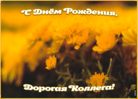 Картинка прикольная открытка с днем рождения коллеге женщине