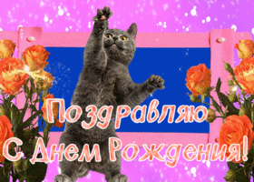 Картинка прикольная открытка с днем рождения с котиком