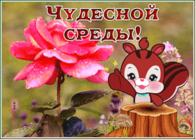 Postcard прикольная открытка с пожеланием чудесной среды