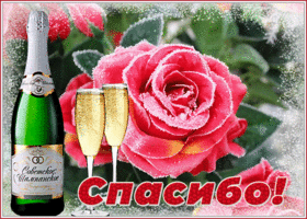 Открытка прикольная открытка спасибо