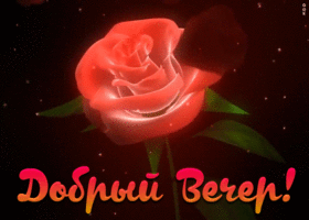 Картинка прикольное пожелание доброго вечера