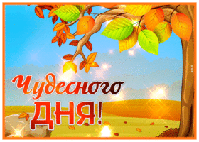 Picture примечательная открытка с пожеланием чудесного дня
