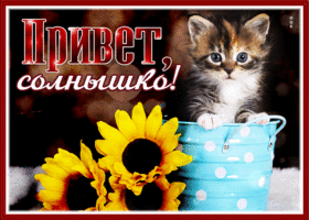 Picture привет