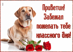 Picture приветик! забежал пожелать тебе классного дня