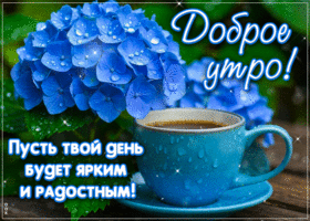 Picture приветливая гиф-открытка, пусть день будет ярким, доброго утра
