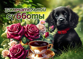 Picture приветливая гиф-открытка, замечательной субботы