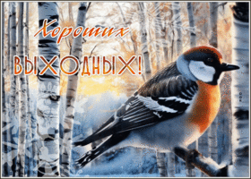 Postcard привлекательная гиф-открытка, пускай будут хорошими выходные