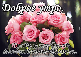 Postcard привлекательная открытка, пусть вторник будет благословенным