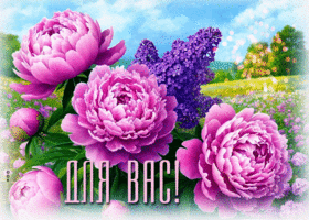 Postcard приятная гиф-открытка, цветы для вас