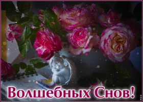 Postcard приятная гиф-открытка , волшебных снов
