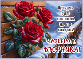 Postcard приятная картинка, доброго и тёплого вторника