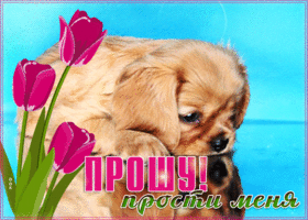 Открытка приятная картинка прости