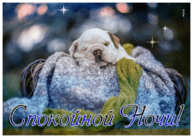 Picture приятная картинка спокойной ночи с песиком