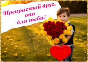 Picture приятная открытка, цветы прекрасному другу