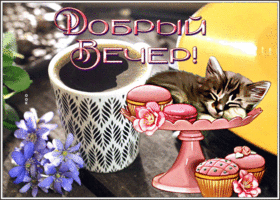 Postcard приятная открытка  добрый вечер с котенком и кофе