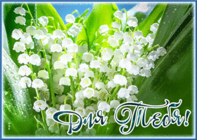 Картинка приятная открытка с ландышами
