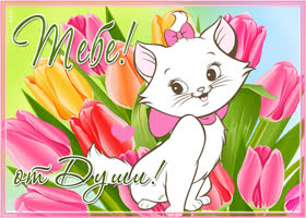 Картинка приятная открытка с тюльпанами