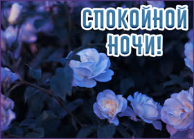 Postcard приятная открытка спокойной ночи с розочками
