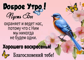 Picture продуманная открытка желающая хорошего воскресенья