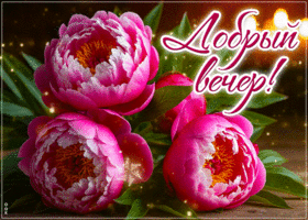 Postcard простая гиф-открытка, вот и наступил вечер