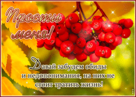 Postcard прости меня! давай забудем обиды и недопонимания