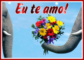 Postcard pt-love