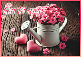 Picture pt-love