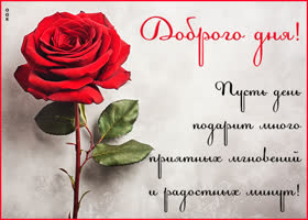 Postcard пусть день подарит много приятных мгновений и радостных минут
