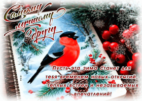 Postcard пусть эта зима станет для тебя временем новых открытий