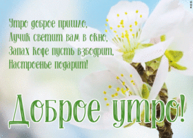 Картинка пусть это доброе утро подарит настроение