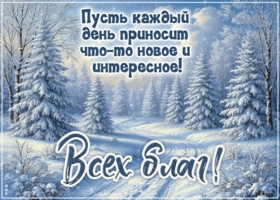 Postcard пусть каждый день приносит что-то новое и интересное