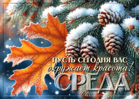 Postcard пусть сегодня вас окружает красота! среда