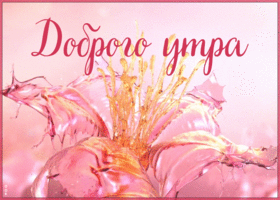 Картинка пусть утро будет добрым