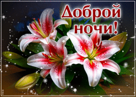 Picture пылкая гиф-открытка, спокойной ночи вам
