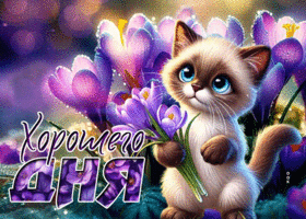 Postcard пёстрая гиф-открытка, желает хорошего дня вместе с котиком