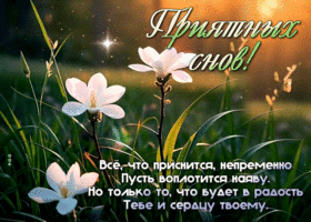 Postcard радостная гиф-открытка, дарит приятные сны