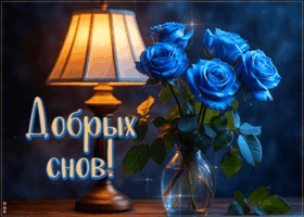 Picture радостная гиф-открытка, добрых снов