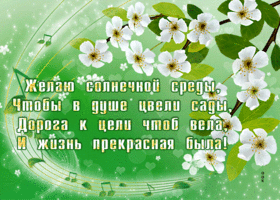 Postcard радостная гиф-открытка, желаю солнечной среды